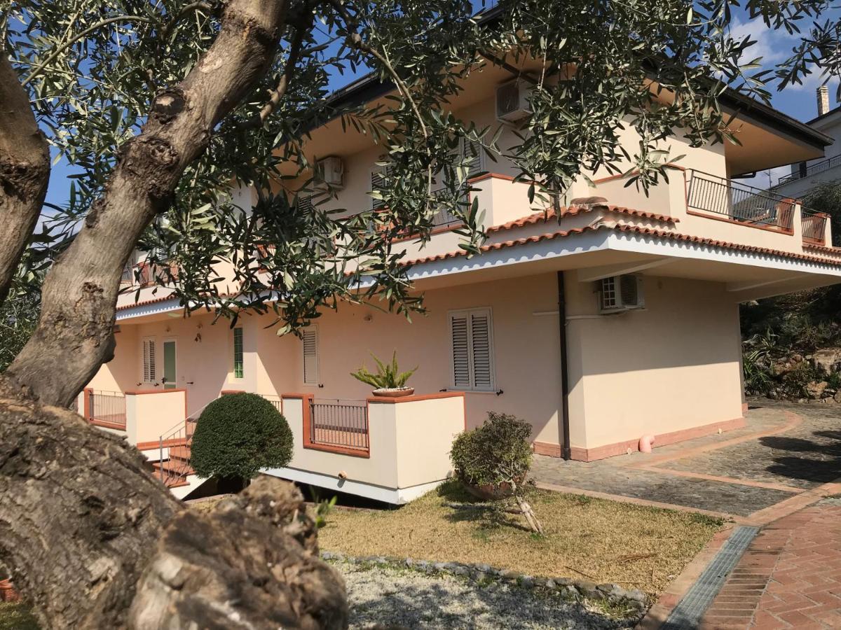 B&B Villa Degli Ulivi Praia a Mare Exteriör bild