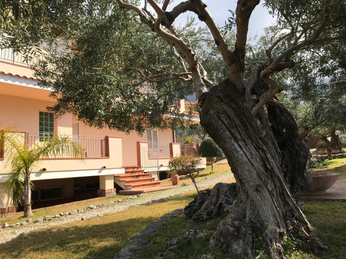 B&B Villa Degli Ulivi Praia a Mare Exteriör bild