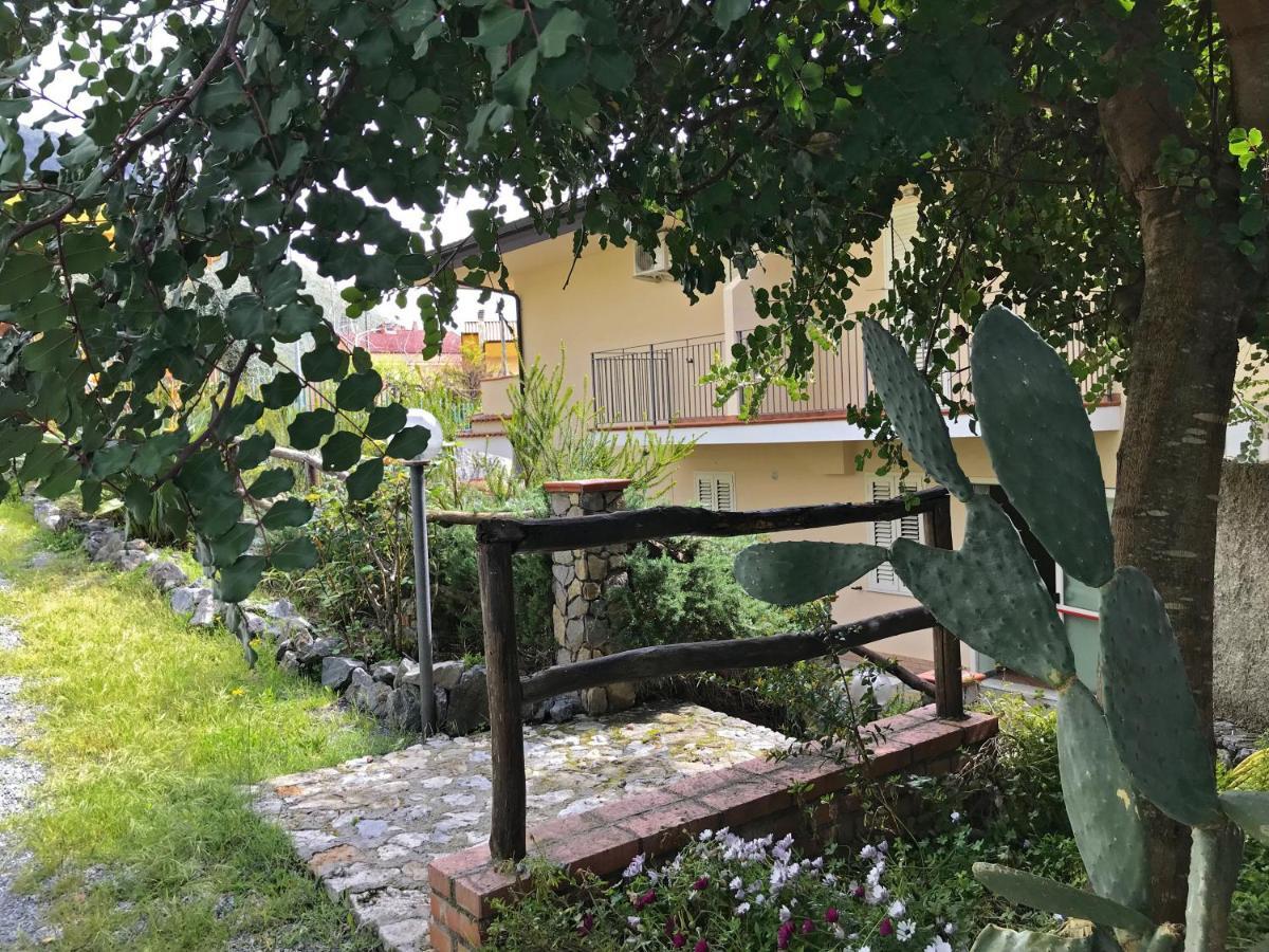 B&B Villa Degli Ulivi Praia a Mare Exteriör bild
