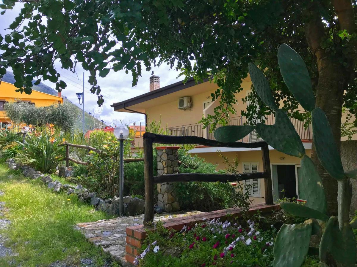 B&B Villa Degli Ulivi Praia a Mare Exteriör bild