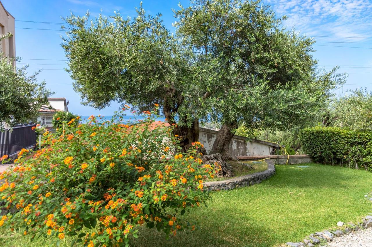B&B Villa Degli Ulivi Praia a Mare Exteriör bild