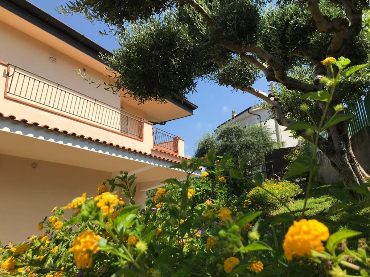B&B Villa Degli Ulivi Praia a Mare Exteriör bild