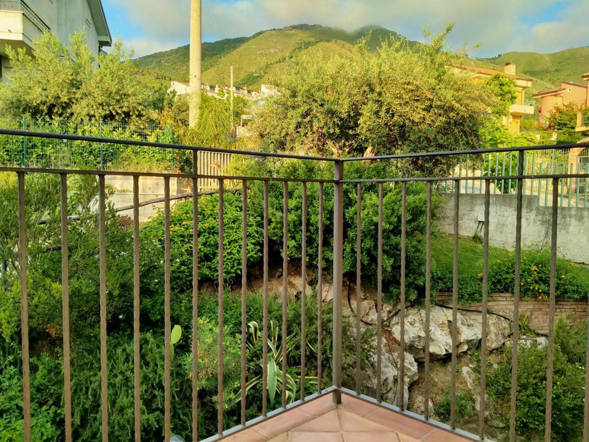 B&B Villa Degli Ulivi Praia a Mare Exteriör bild